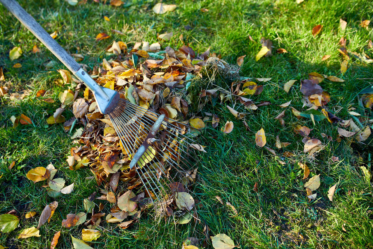 Autumn Raking Safety 7 Spring Cleaning Tips: Fire Safety Edition