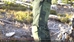 Coaxsher CX Wildland Vent Brush Pant - Nomex - COA FC200