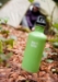 Klean Kanteen Classic Stainless Steel Water Bottles - Case of 6 - KLK KK6